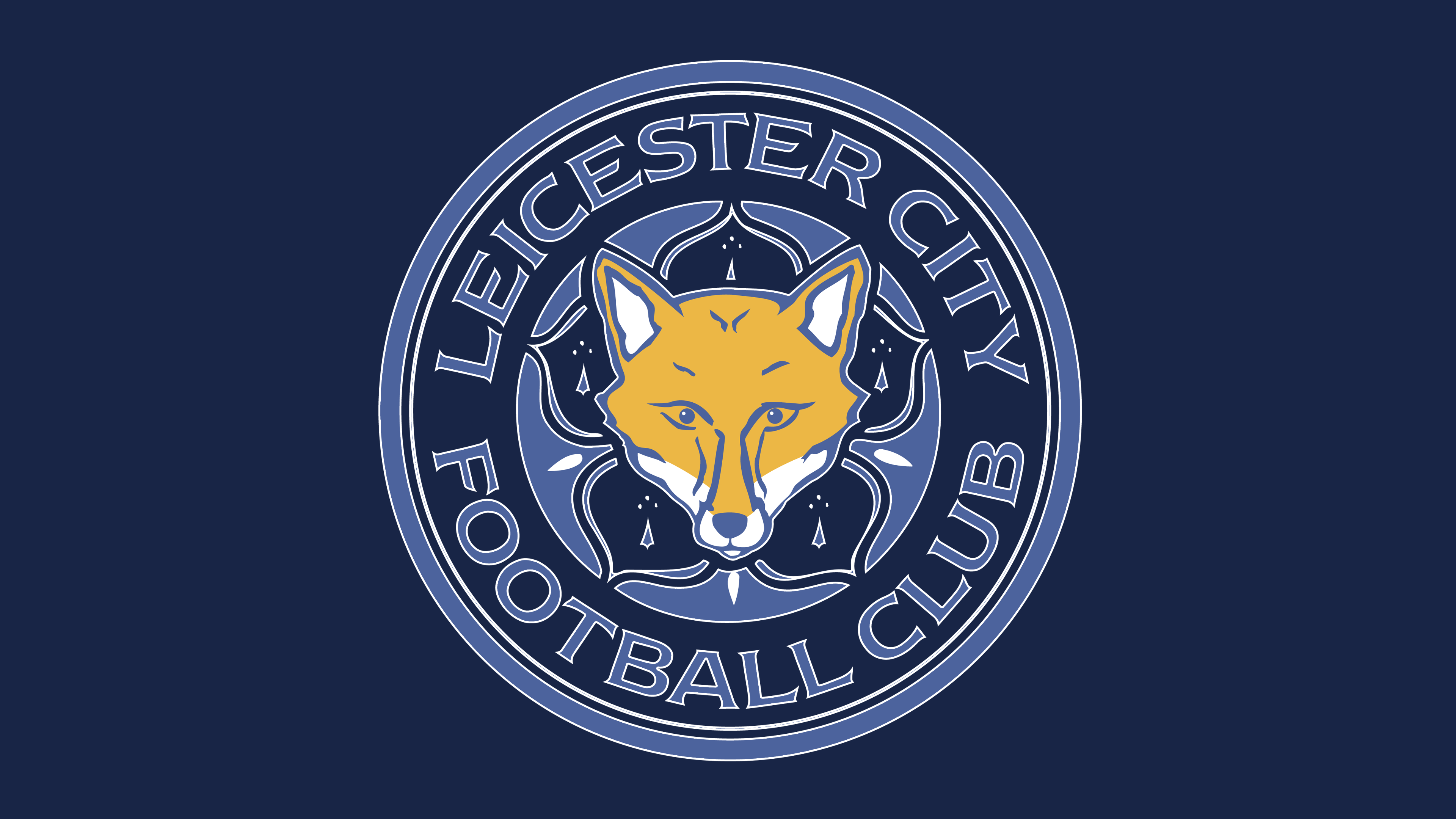 Leicester City F.c. - HD Wallpaper 