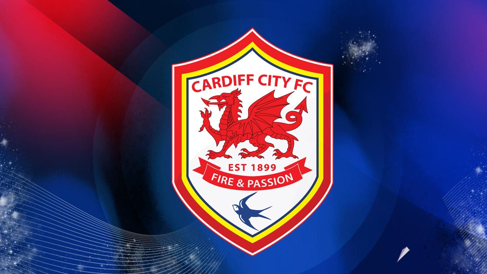 Cardiff City Vs Reading - HD Wallpaper 
