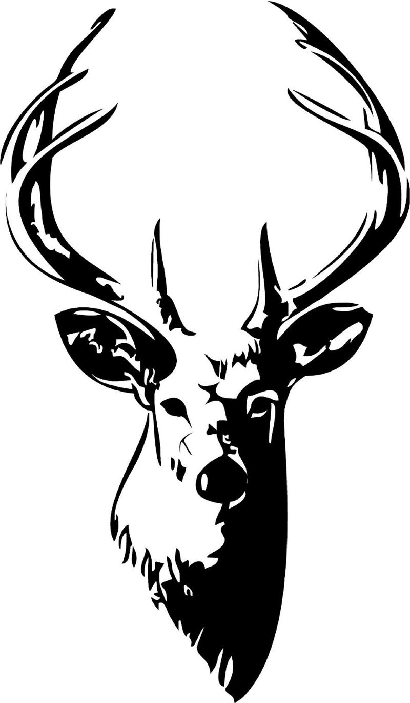 Buck Head Vinyl Wall Art Decal - Stag Head Black And White - HD Wallpaper 