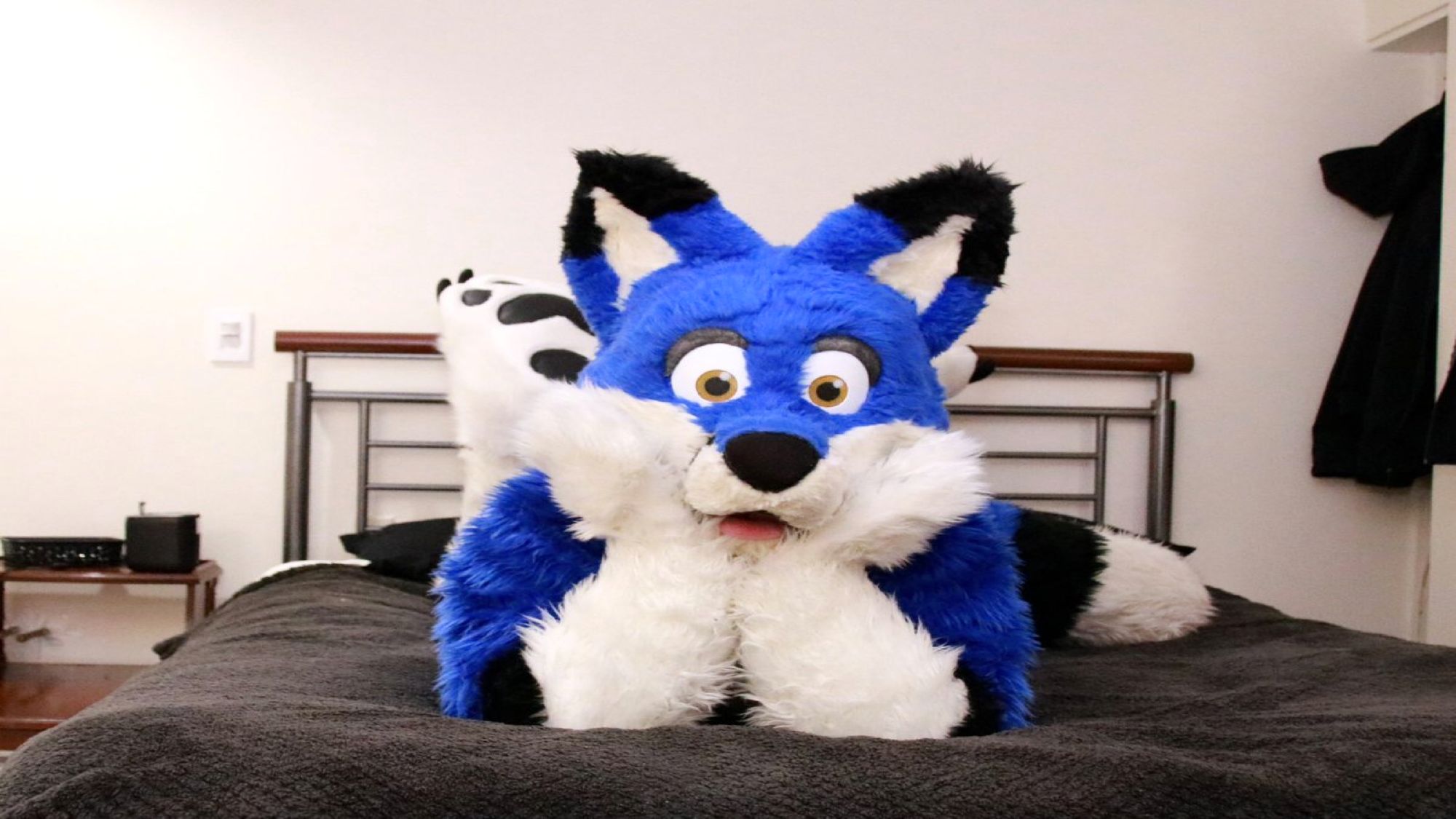 Furry Wallpaper Hd - Fond D Écran Furry - HD Wallpaper 