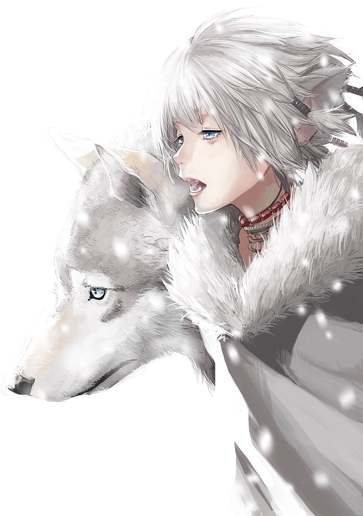 Anime Boy, Wolf, Animal Ears, Gray Hair, Furry, Sharp - Anime Wolf Boy With White Hair - HD Wallpaper 