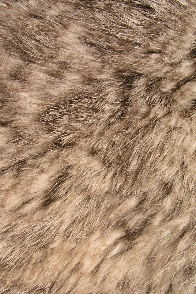 Iphone Wallpaper Fur - HD Wallpaper 