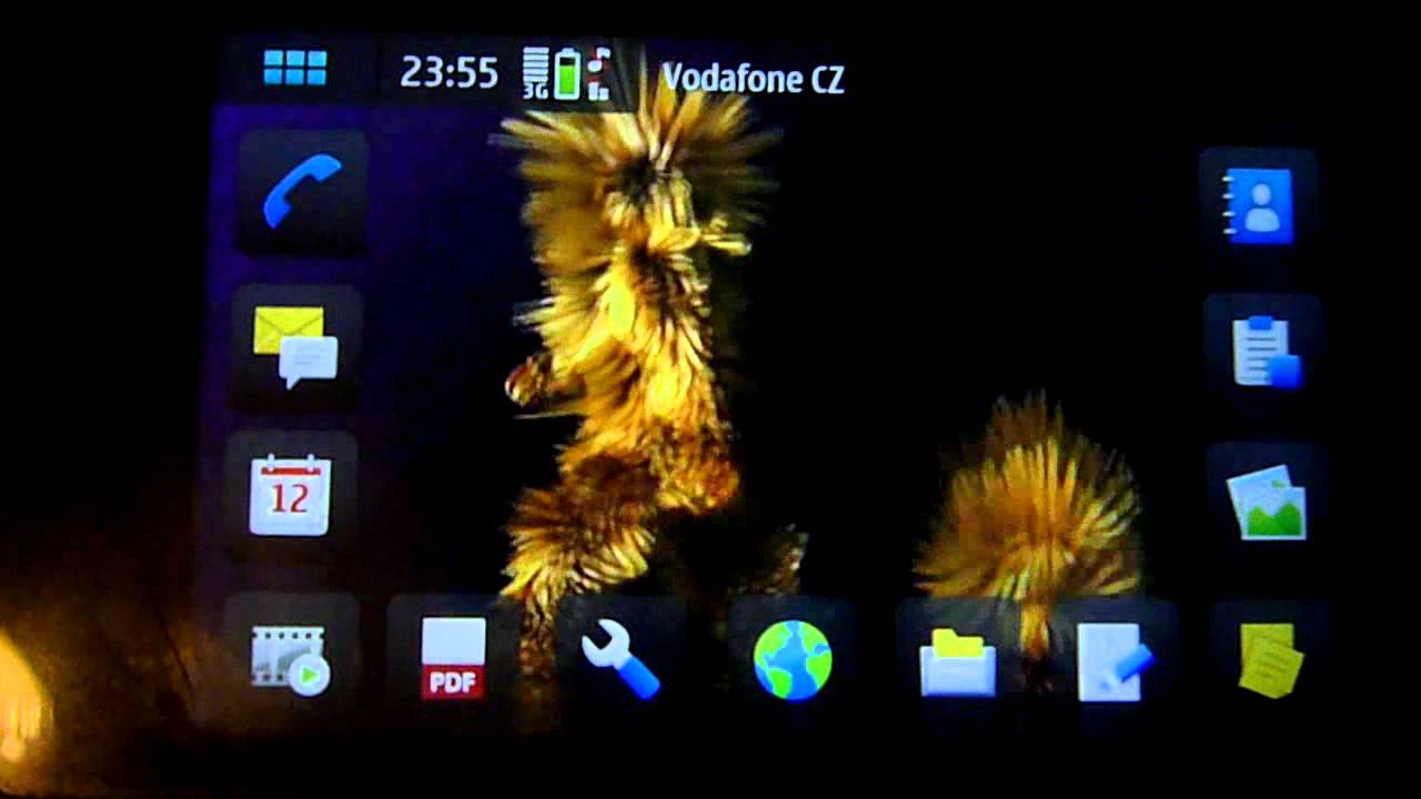 Mister Furry Mtv - HD Wallpaper 