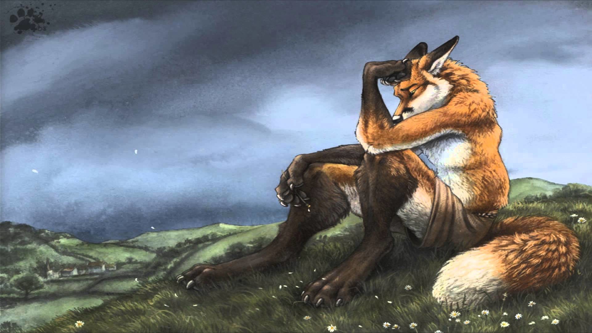 Furry Fox Background - HD Wallpaper 