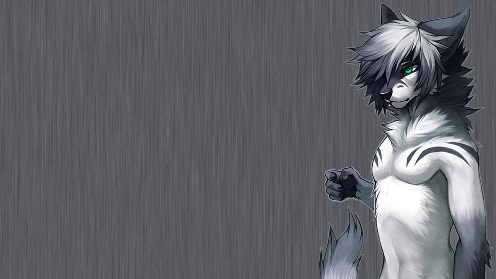 Falvie Furry 1920x1080 Wallpaper Teahub Io