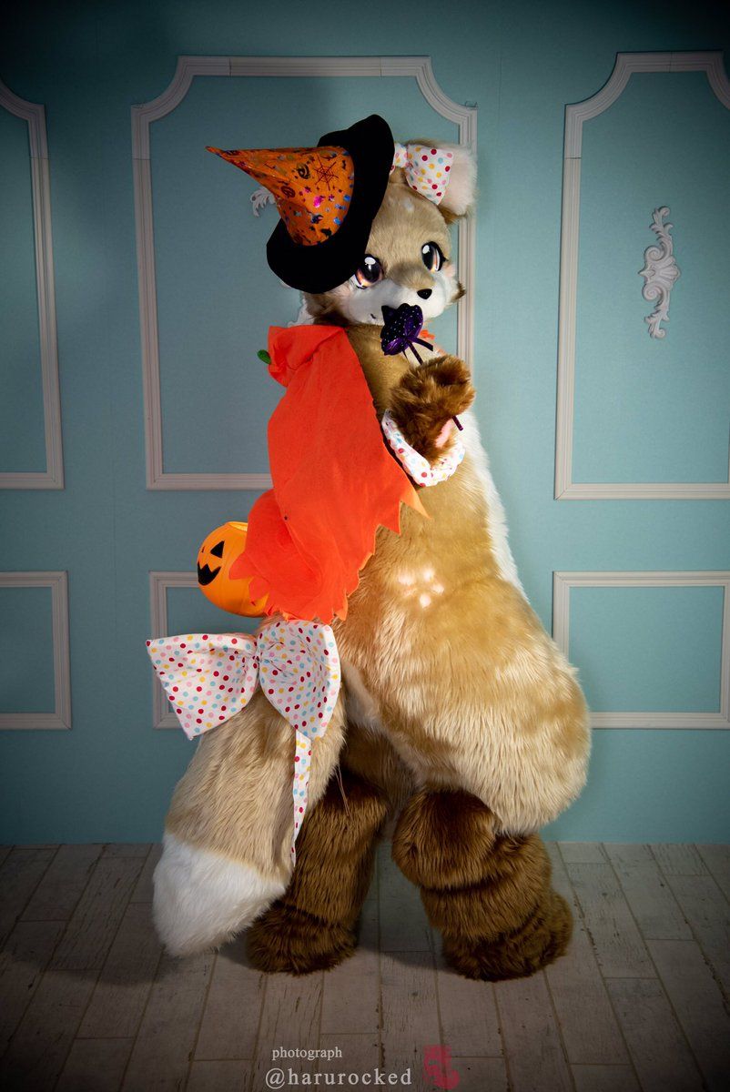 Stuffed Toy - HD Wallpaper 