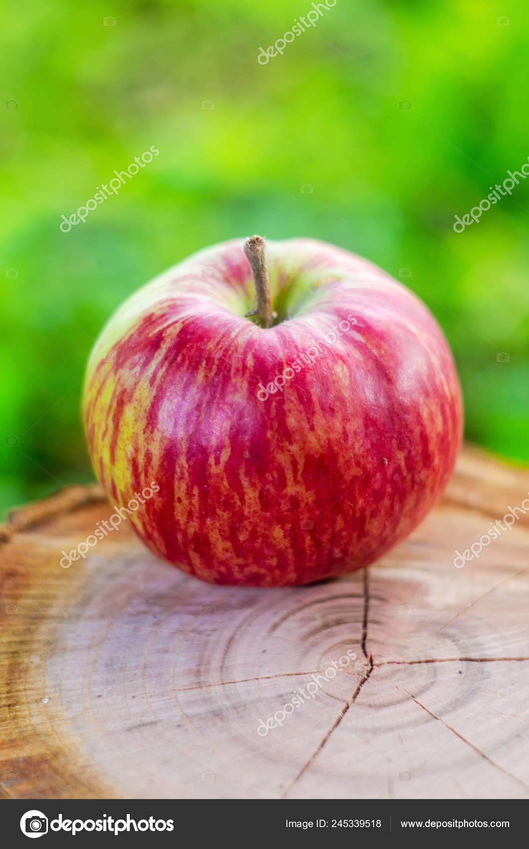 Mcintosh - HD Wallpaper 