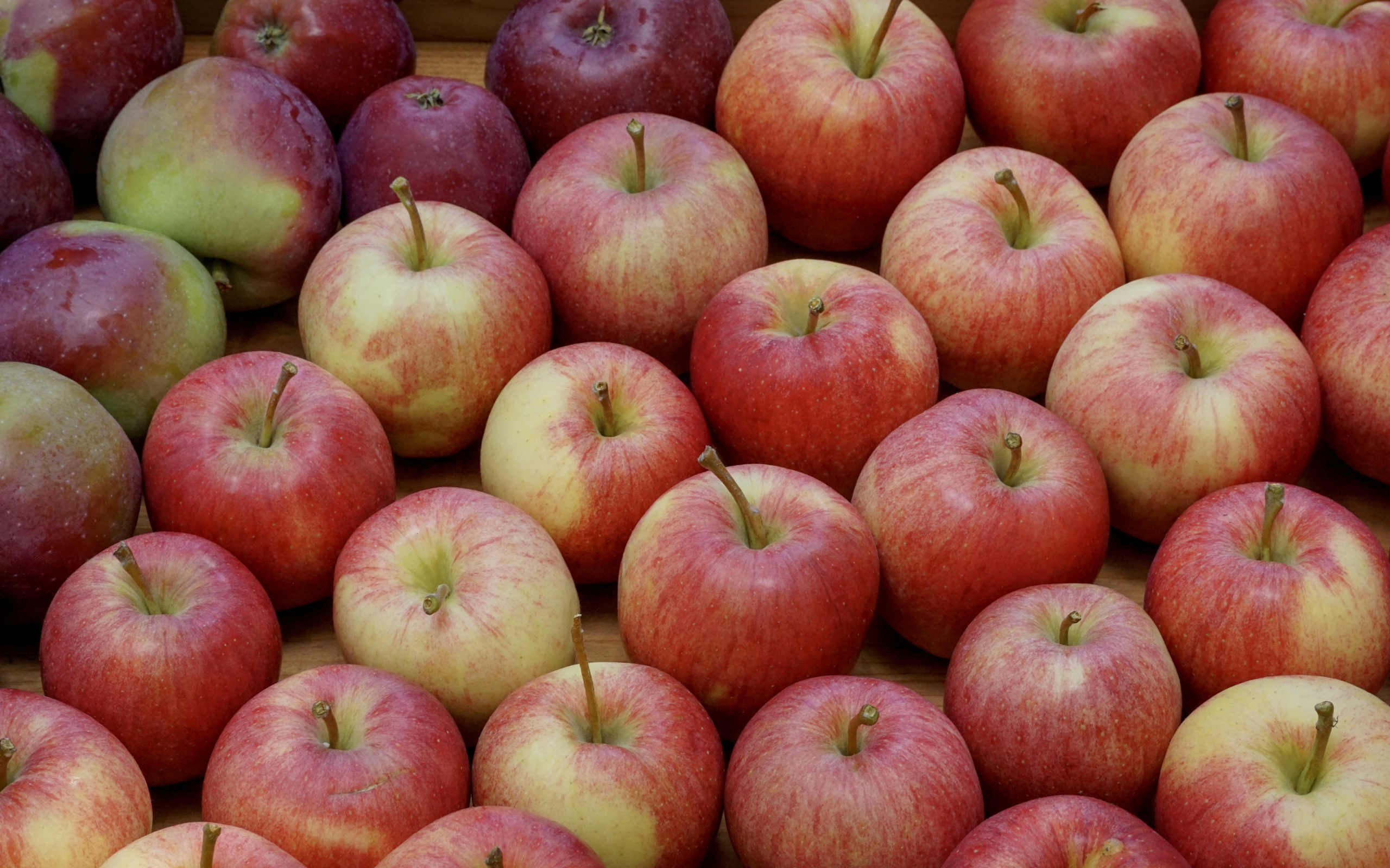 Mcintosh - HD Wallpaper 