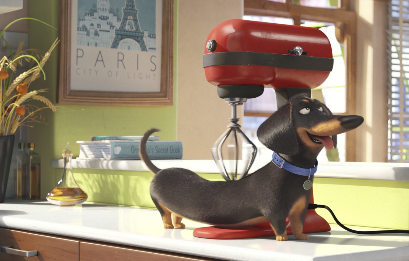 Photo Wallpaper Apple, Cinema, Paris, Dog, Cup, Cartoon, - Secret Life Of Pets Dogs - HD Wallpaper 