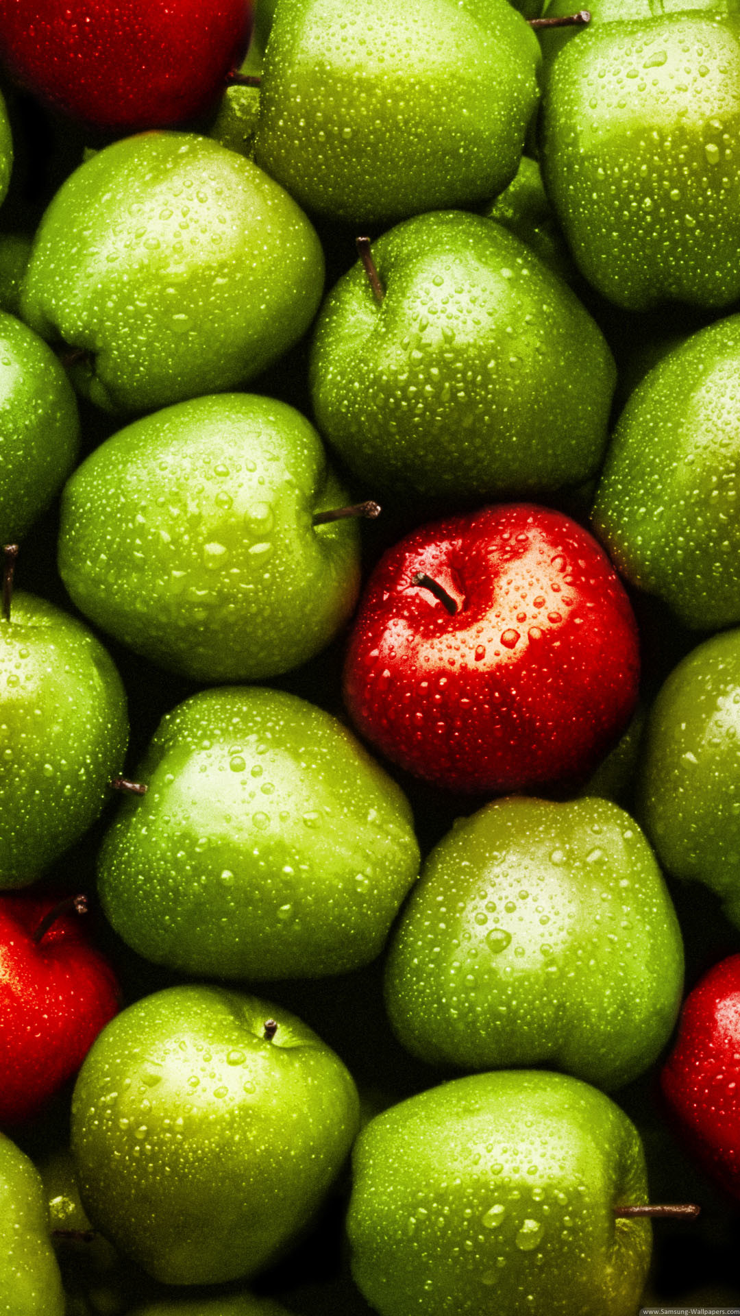 Green Red Apples Iphone 6 Plus Hd Wallpaper 
 Data - Apple Fruit Wallpaper Portrait - HD Wallpaper 