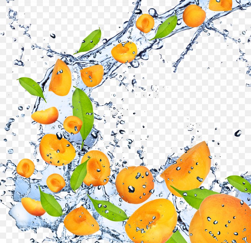 Fruit Apricot High-definition Television 1080p Wallpaper, - High Resolution Mango - HD Wallpaper 