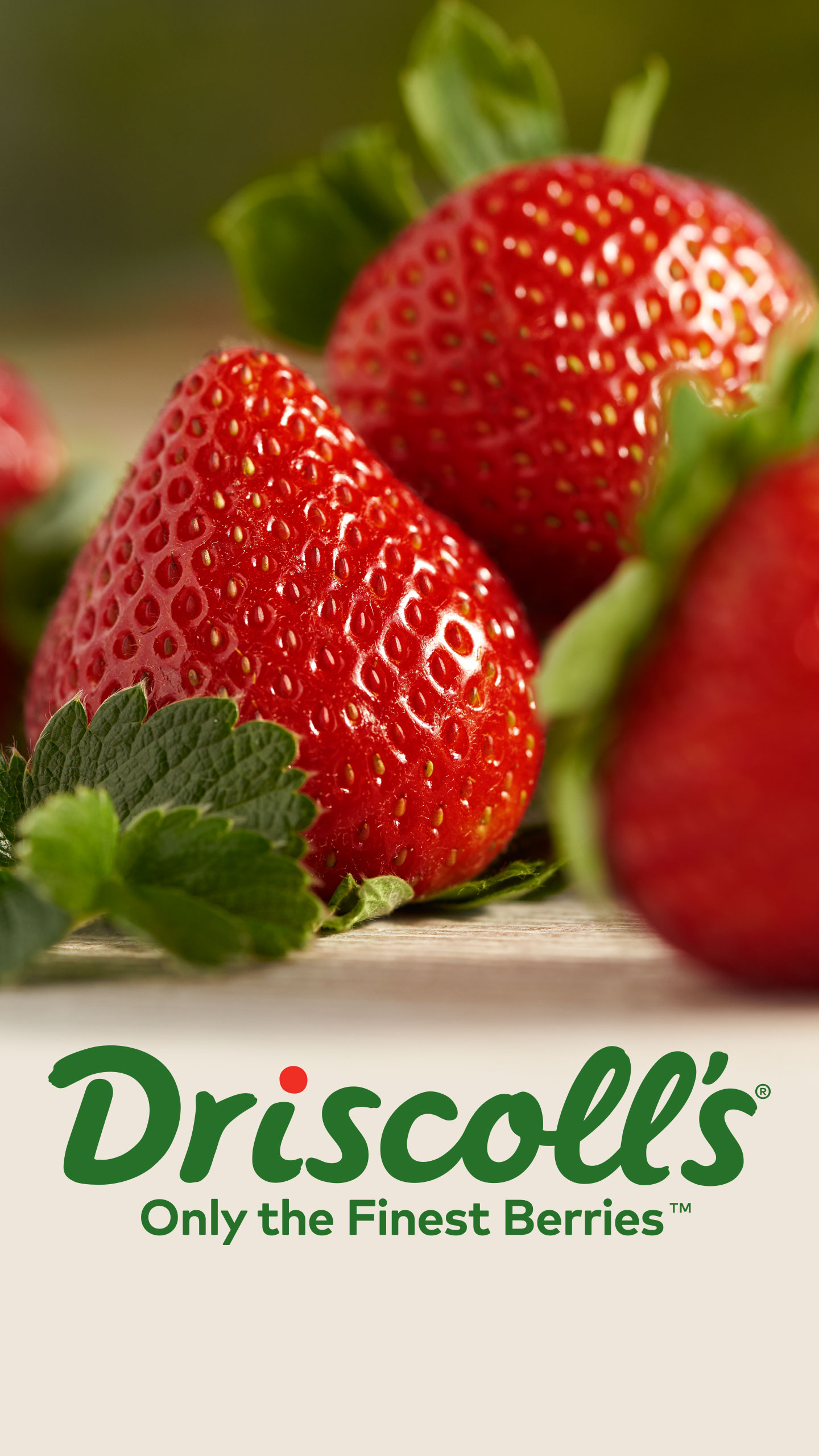 Driscoll's - HD Wallpaper 