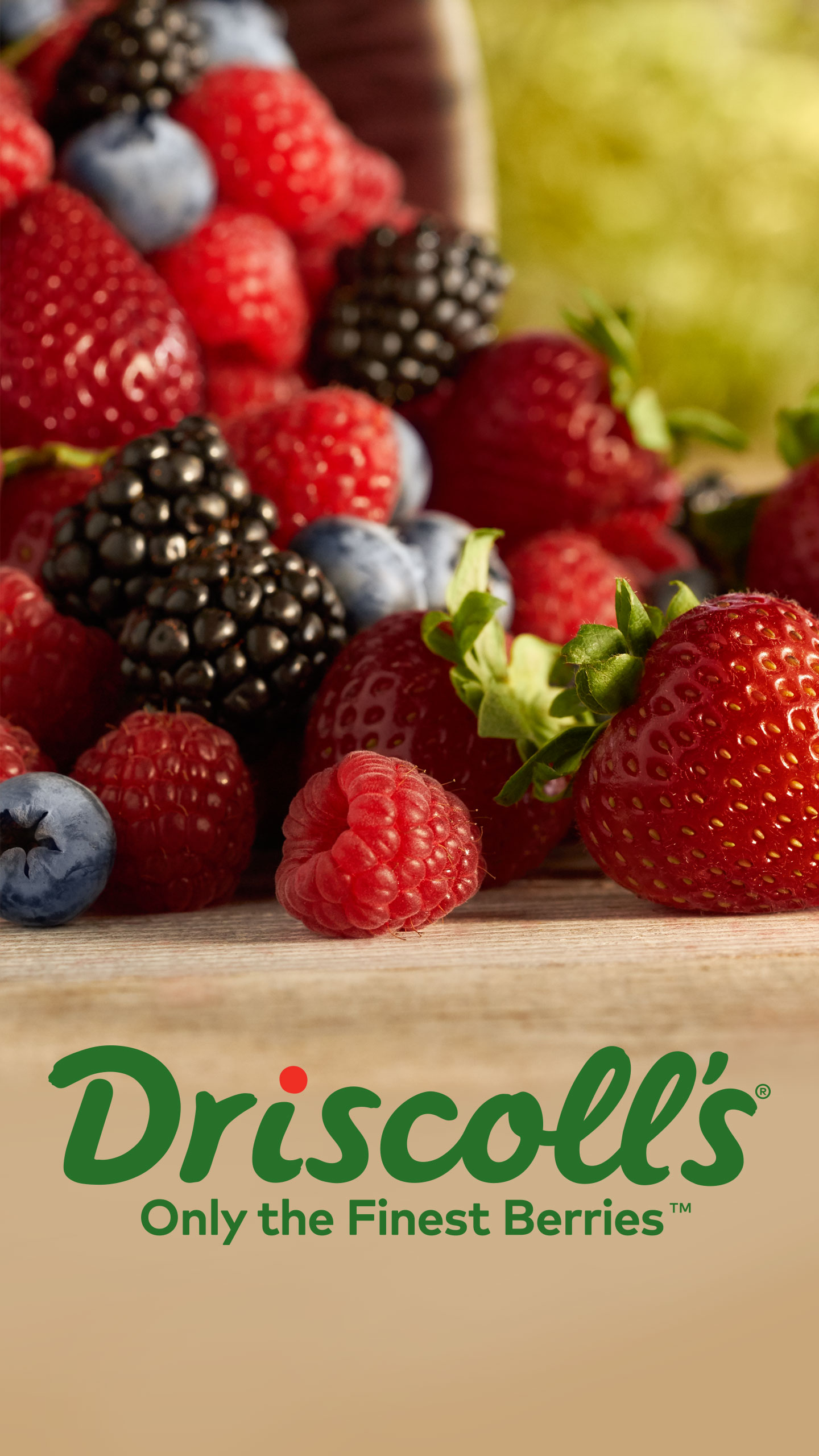 Frutti Di Bosco - HD Wallpaper 