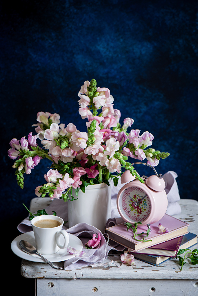 Saucer - HD Wallpaper 