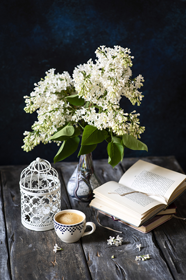 Coffee Books - HD Wallpaper 