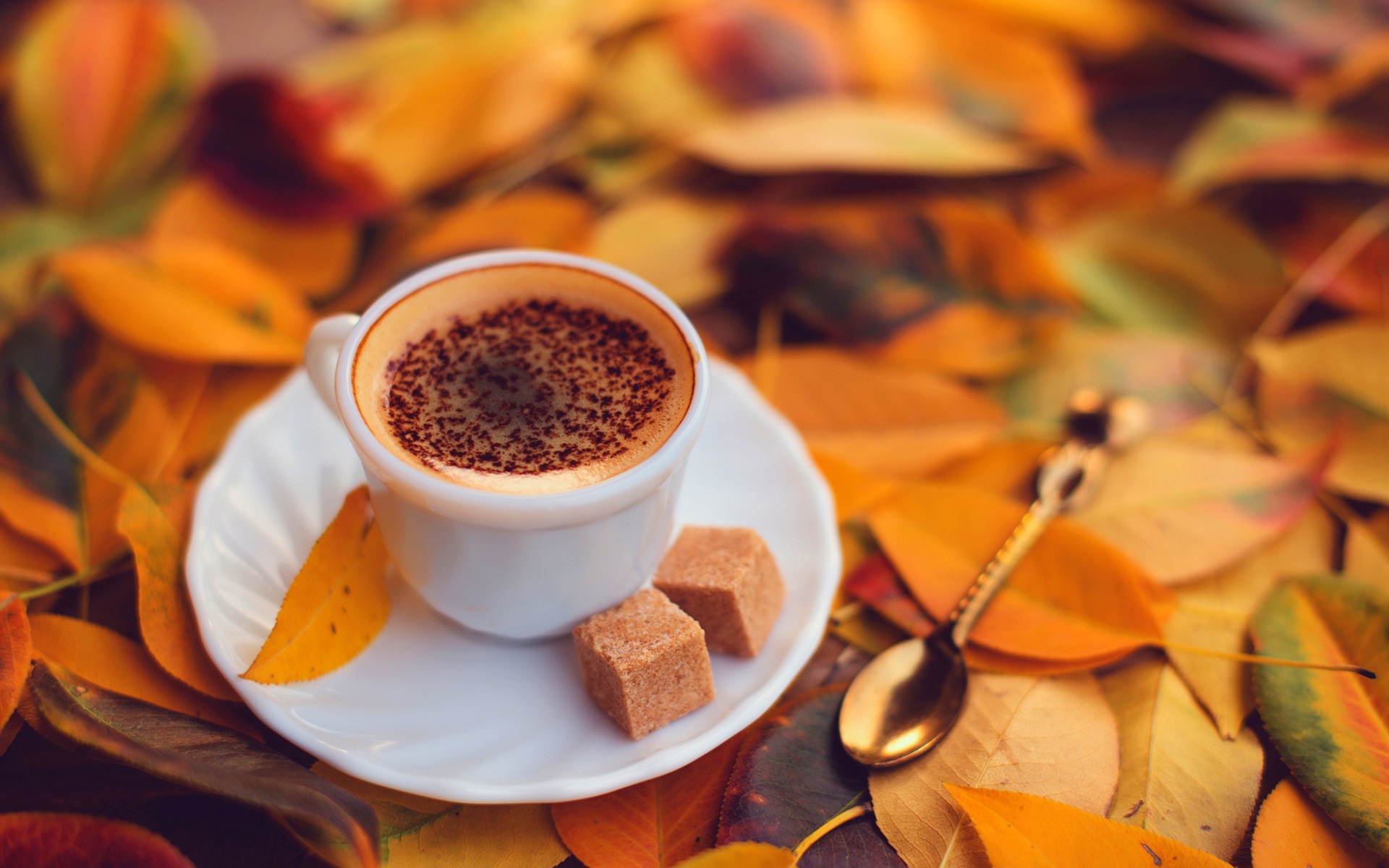 Good Morning Autumn Coffee Nice High Definition Wallpapers - Coffee In Autumn - HD Wallpaper 
