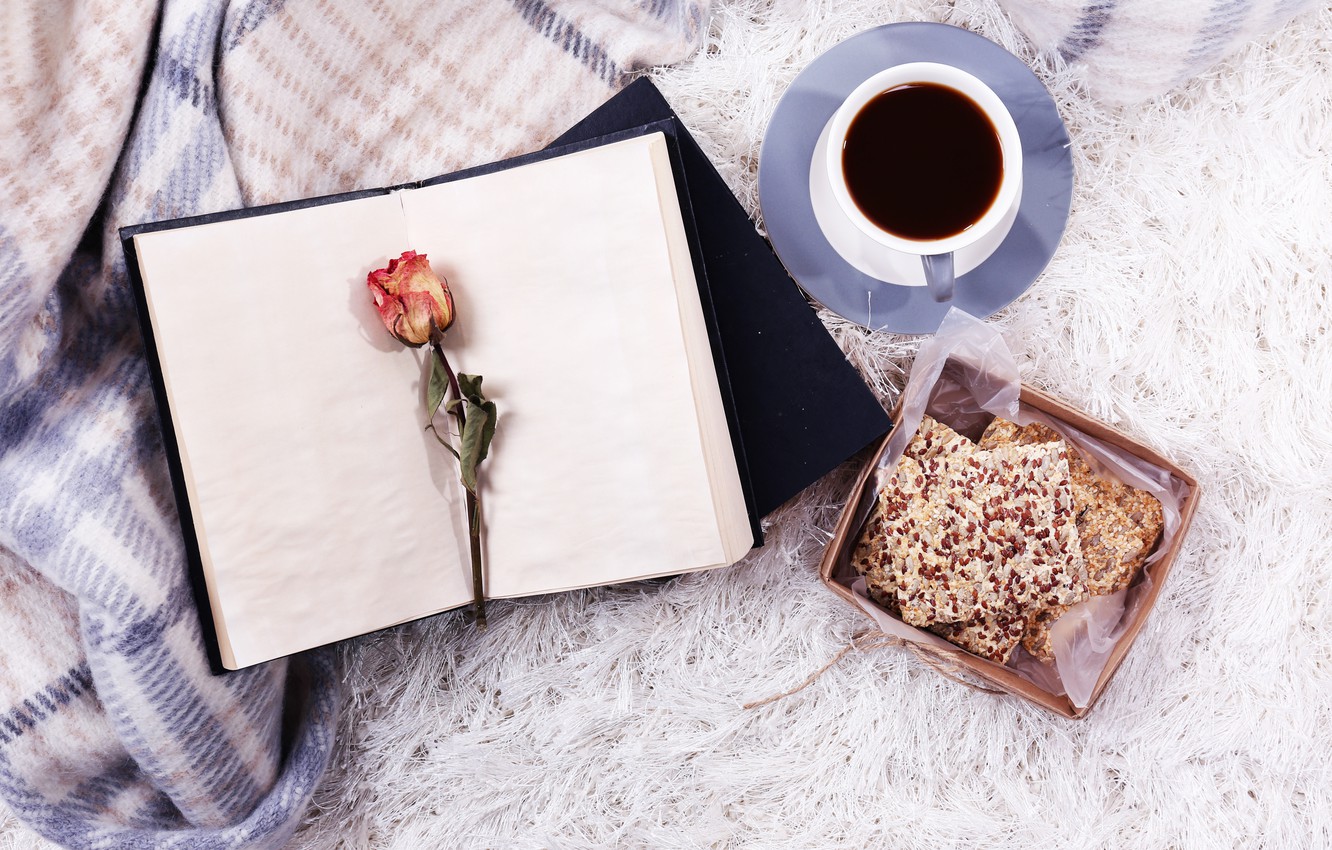 Photo Wallpaper Rose, Coffee, Book - Good Morning Book And Coffee -  1332x850 Wallpaper 