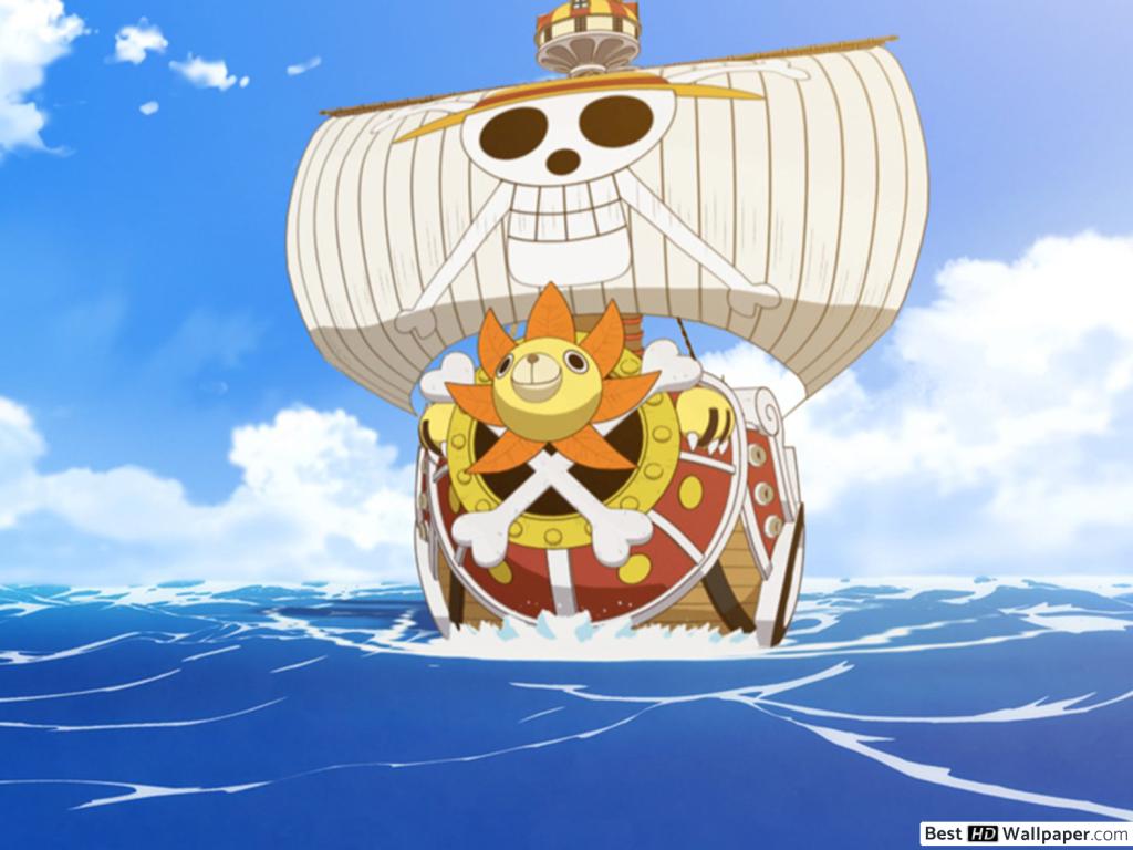 Thousand Sunny Face One Piece - HD Wallpaper 