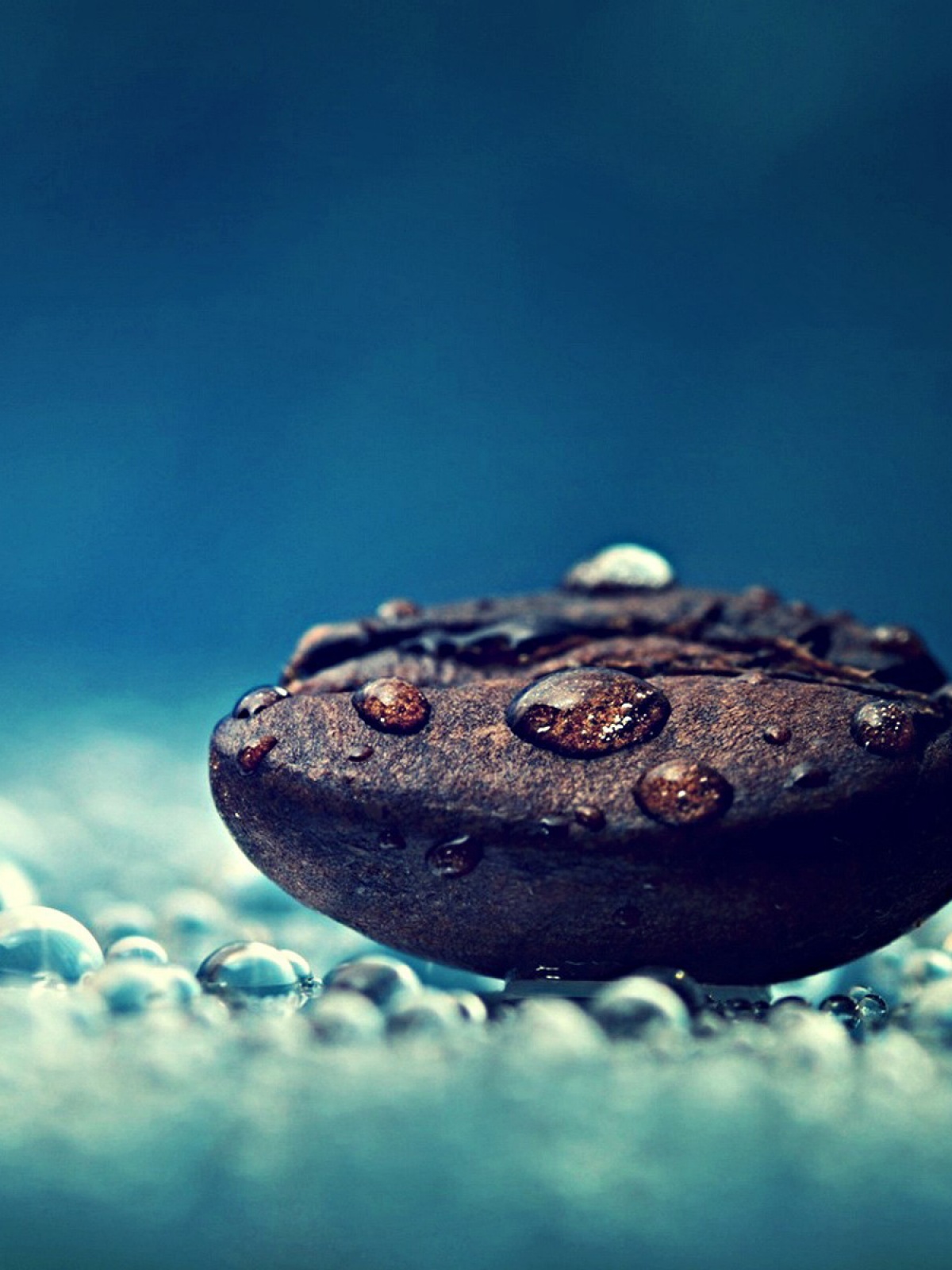 Coffee Beans Wallpaper Hd For Mobile - HD Wallpaper 