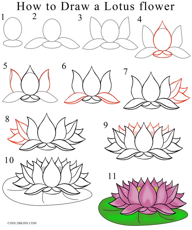 How To Draw Lotus Flower Step By Step - Lotus Flower Drawing Step By Step - HD Wallpaper 