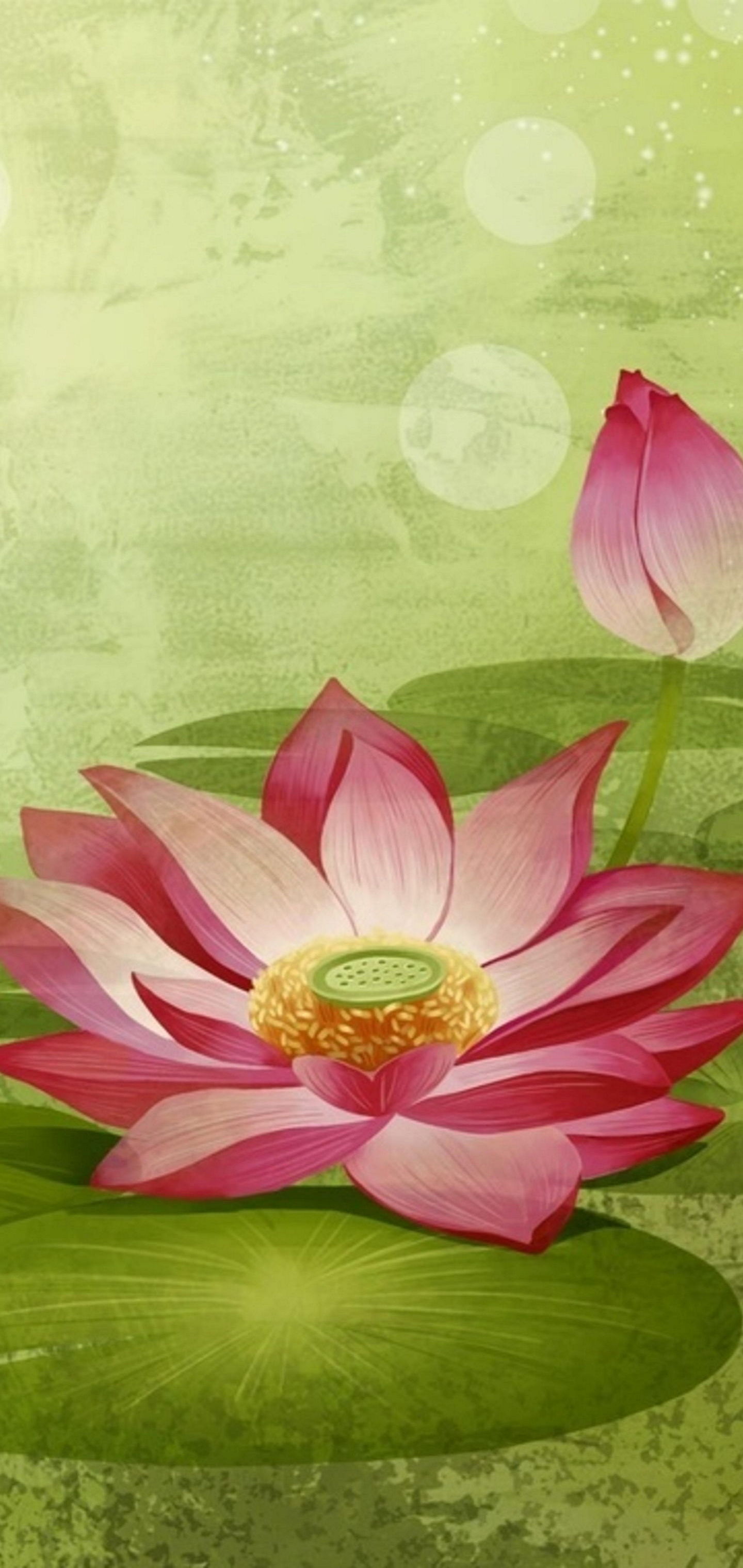 Hd Wallpaper For Mobile Phone 354 - HD Wallpaper 