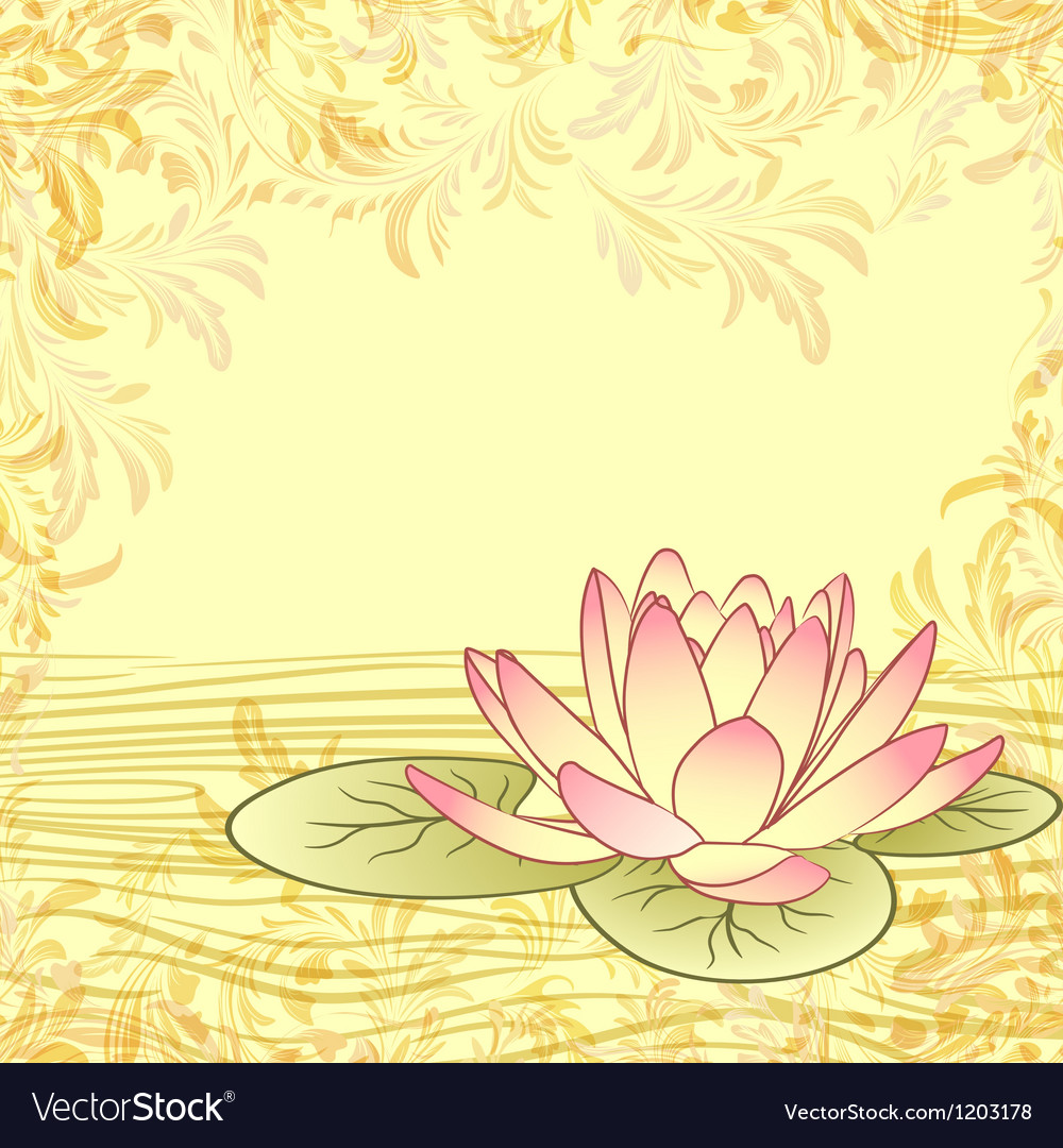 Lotus Flower Background - HD Wallpaper 