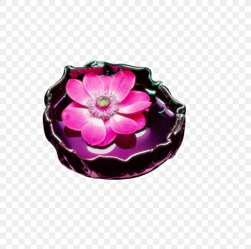 Iphone 5 Idea 8tracks - HD Wallpaper 