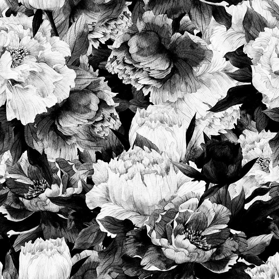 Black And White Floral - HD Wallpaper 