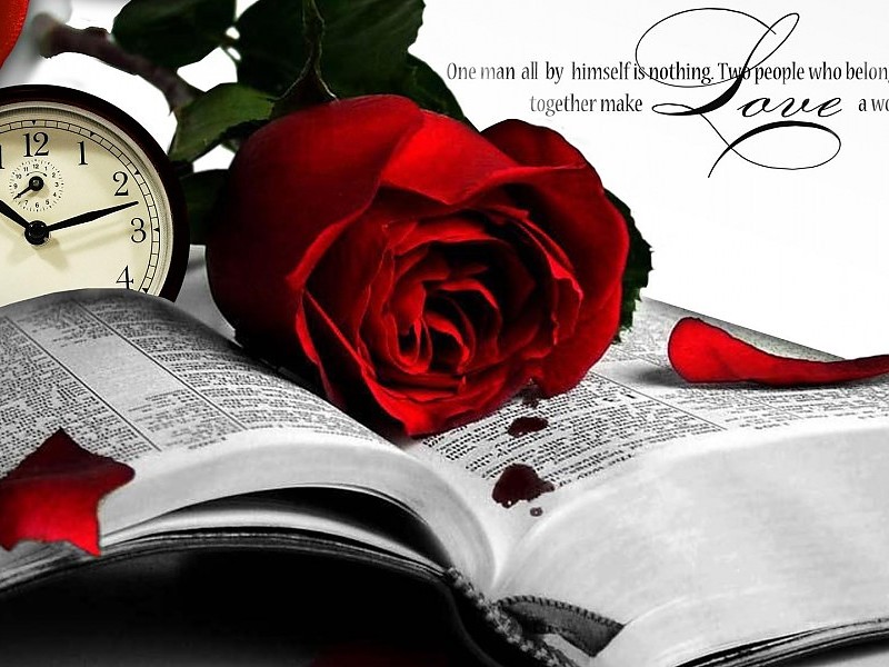 Book A Rose Wallpaper - Red Rose Bleeding - 800x600 Wallpaper 