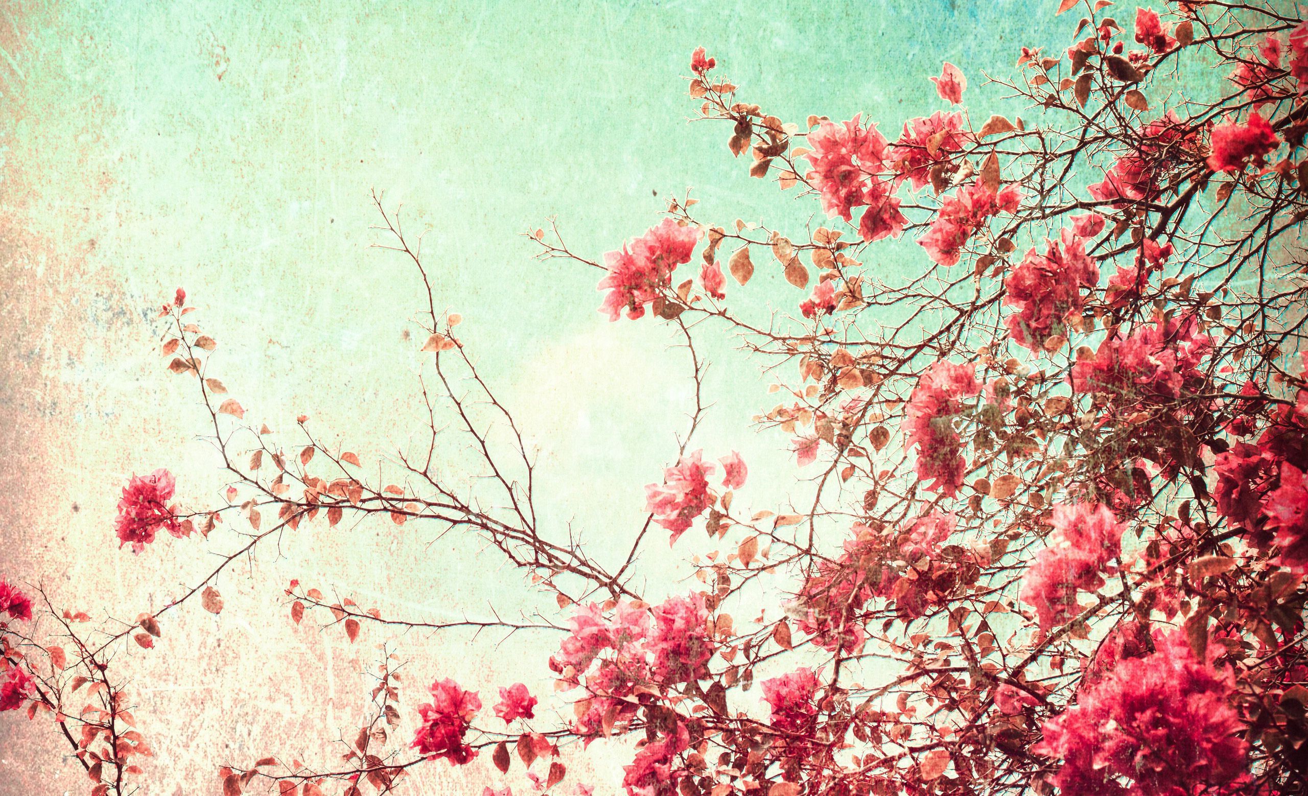 Vintage Flowers Computer Wallpaper - HD Wallpaper 