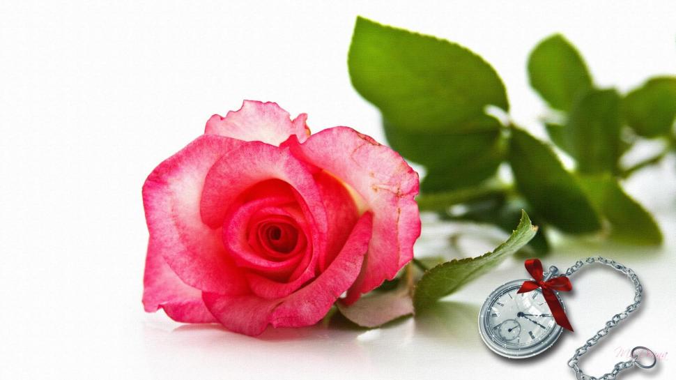 Time For Rose Wallpaper,lovely Hd Wallpaper,clock Hd 970x545
