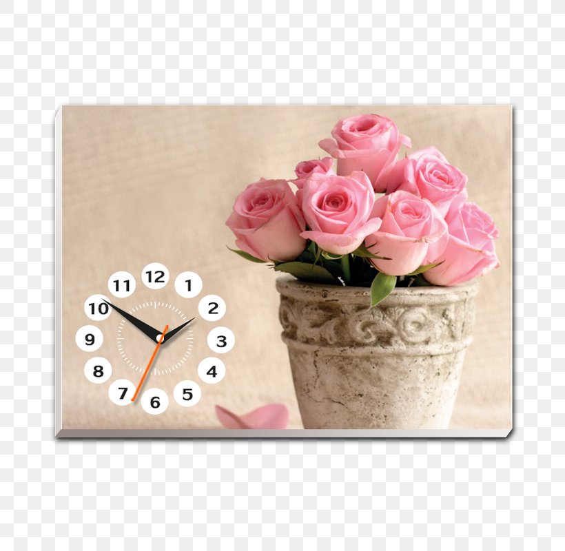 Iphone 6 Desktop Wallpaper Flower Rose, Png, 800x800px, - HD Wallpaper 
