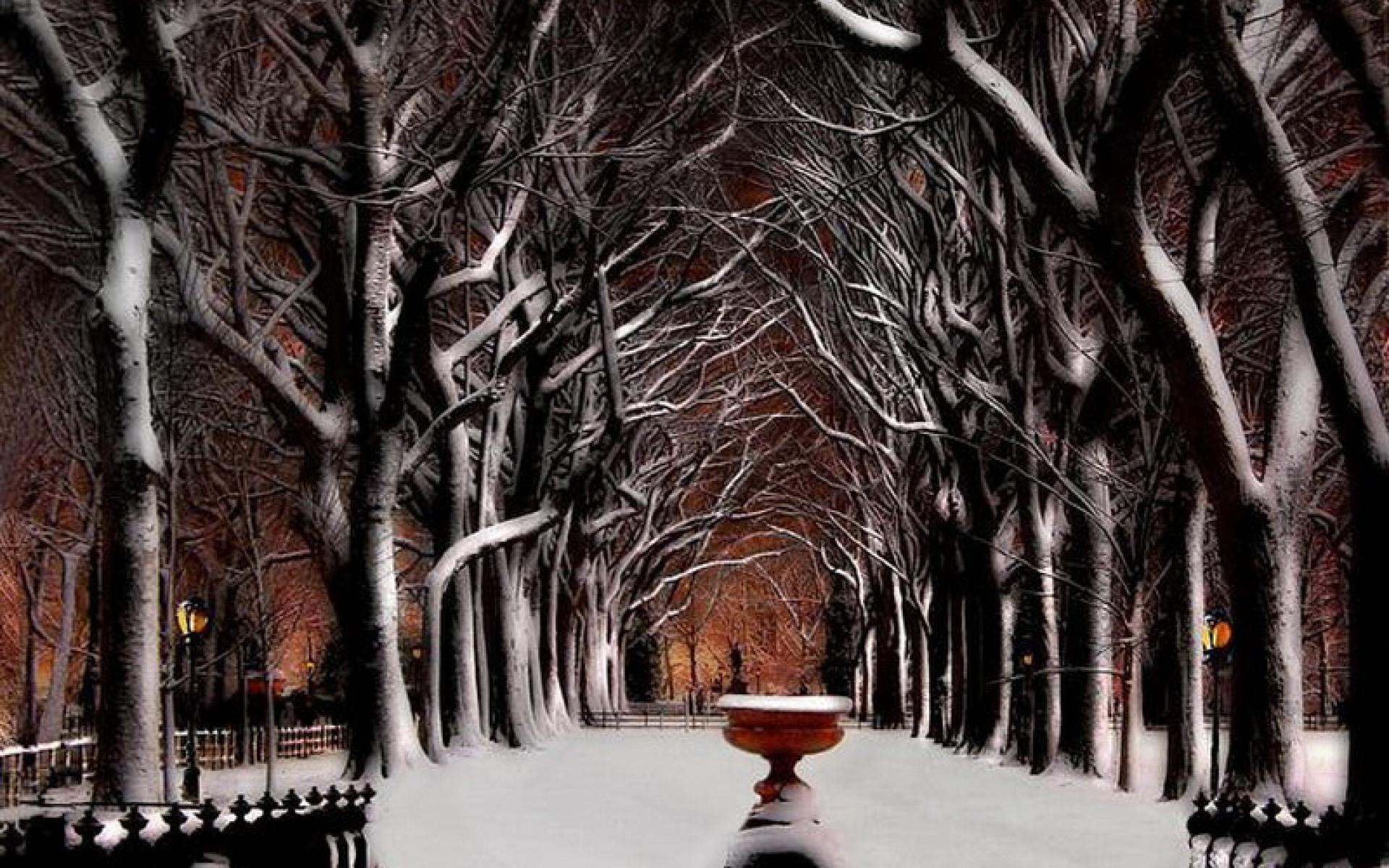 Pixel Resolution - Park Winter Desktop Background - HD Wallpaper 
