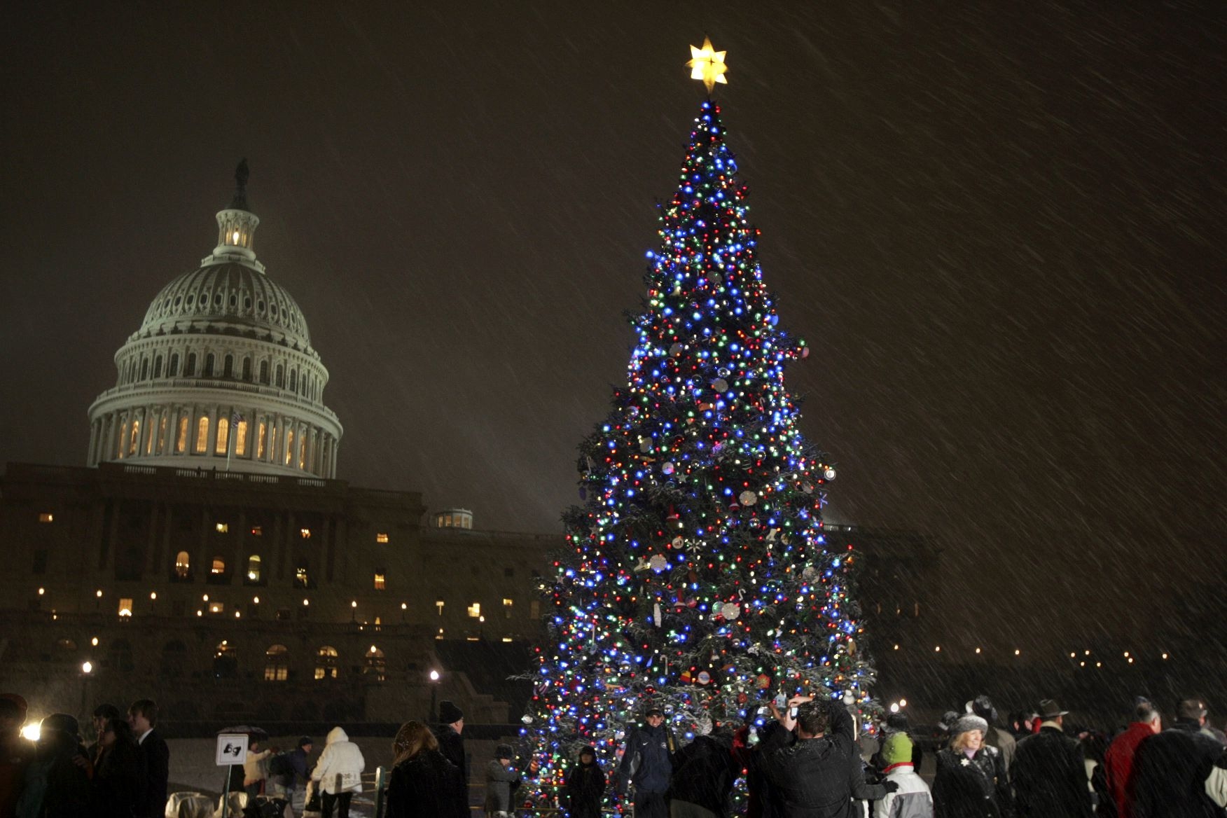Christmas Tree In Washington Dc - HD Wallpaper 