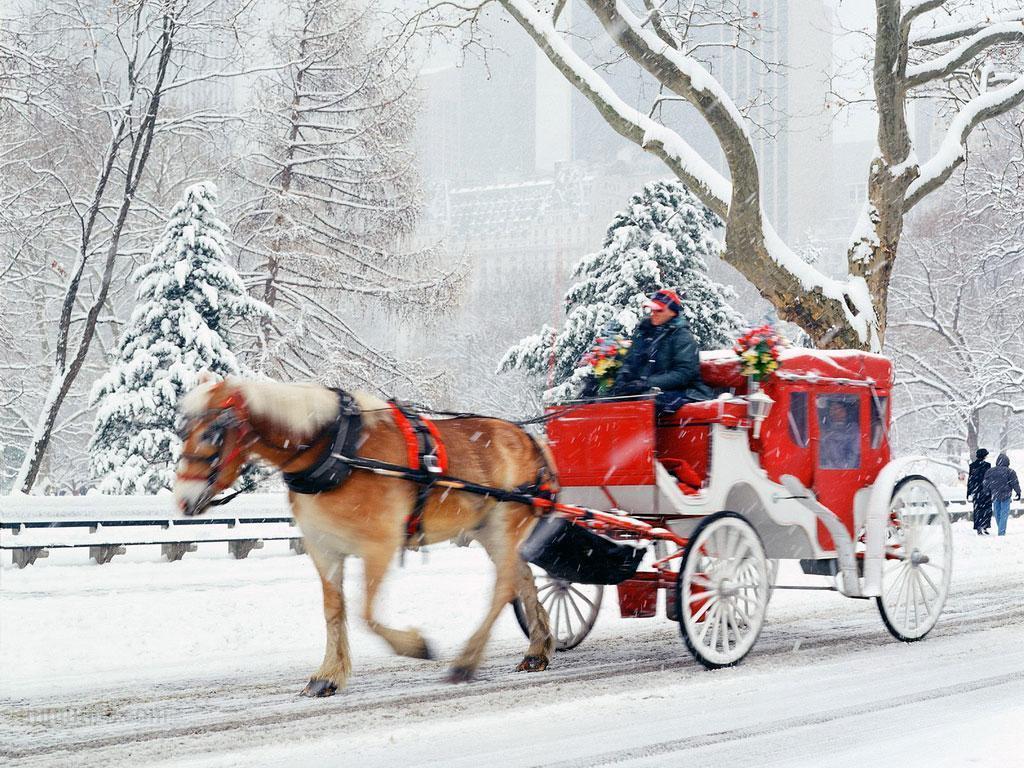 Christmas Time <33 - Christmas Central Park Horse And Carriage - HD Wallpaper 
