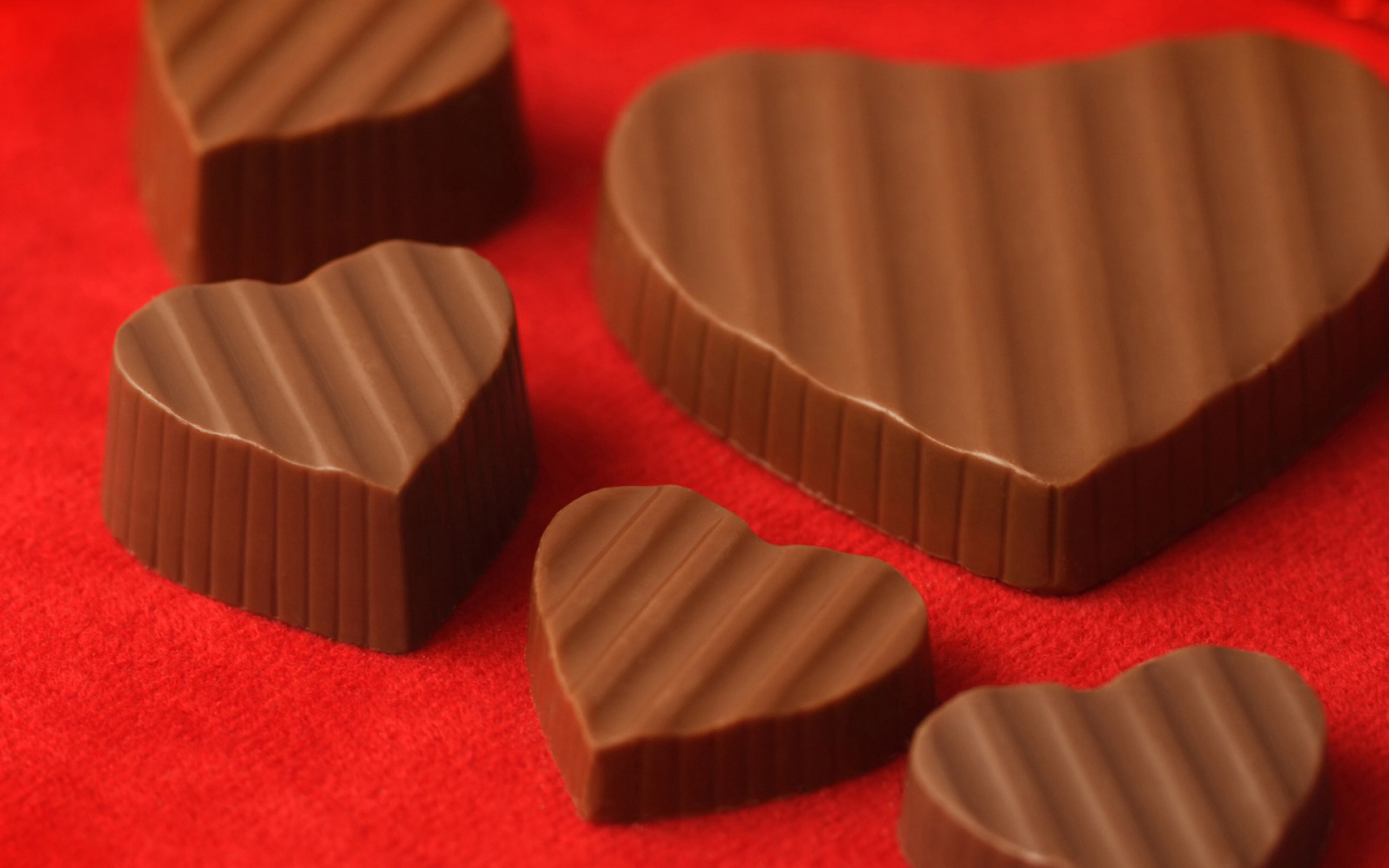 Wallpaper - HD Wallpaper 