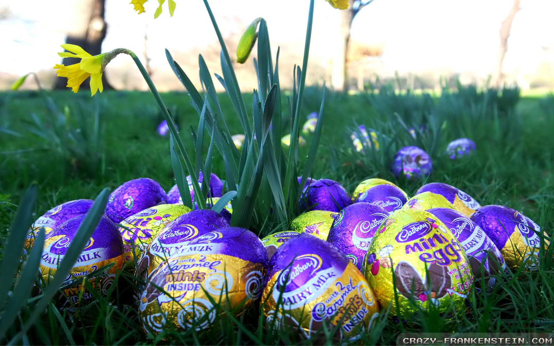 Easter Eggs - HD Wallpaper 