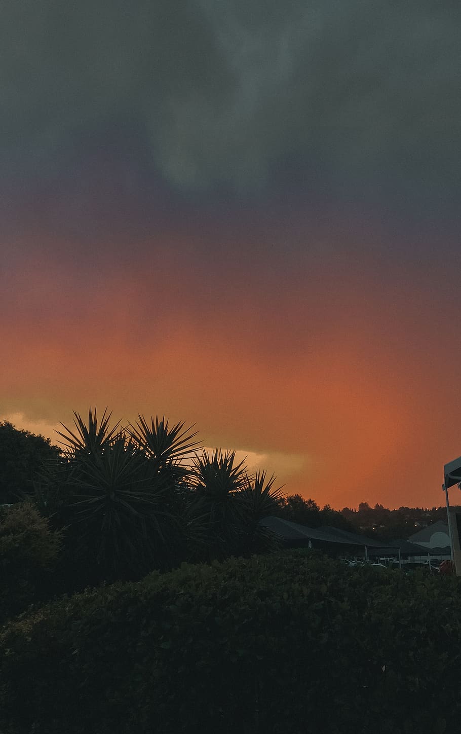 South Africa, Trees, Beautiful, Sunset, Earthpainting, - HD Wallpaper 