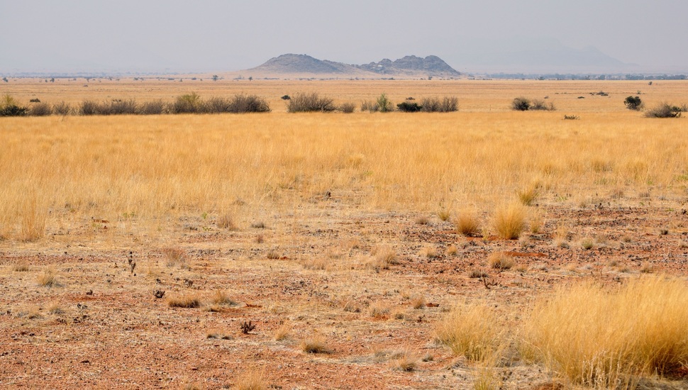 Desert, Savannah, Namibia, Landscape, South Africa, - Savannah Background - HD Wallpaper 