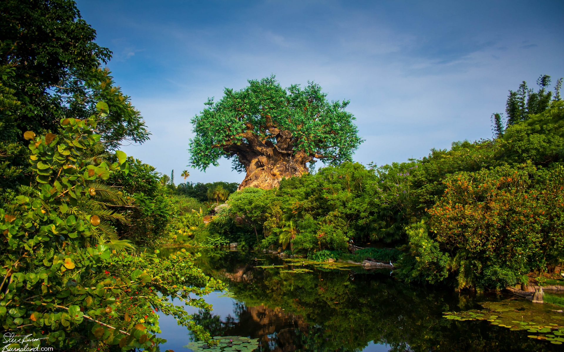 At Disney S Animal Kingdom Computer Wallpapers, Desktop - Disney World, Disney's Animal Kingdom - HD Wallpaper 