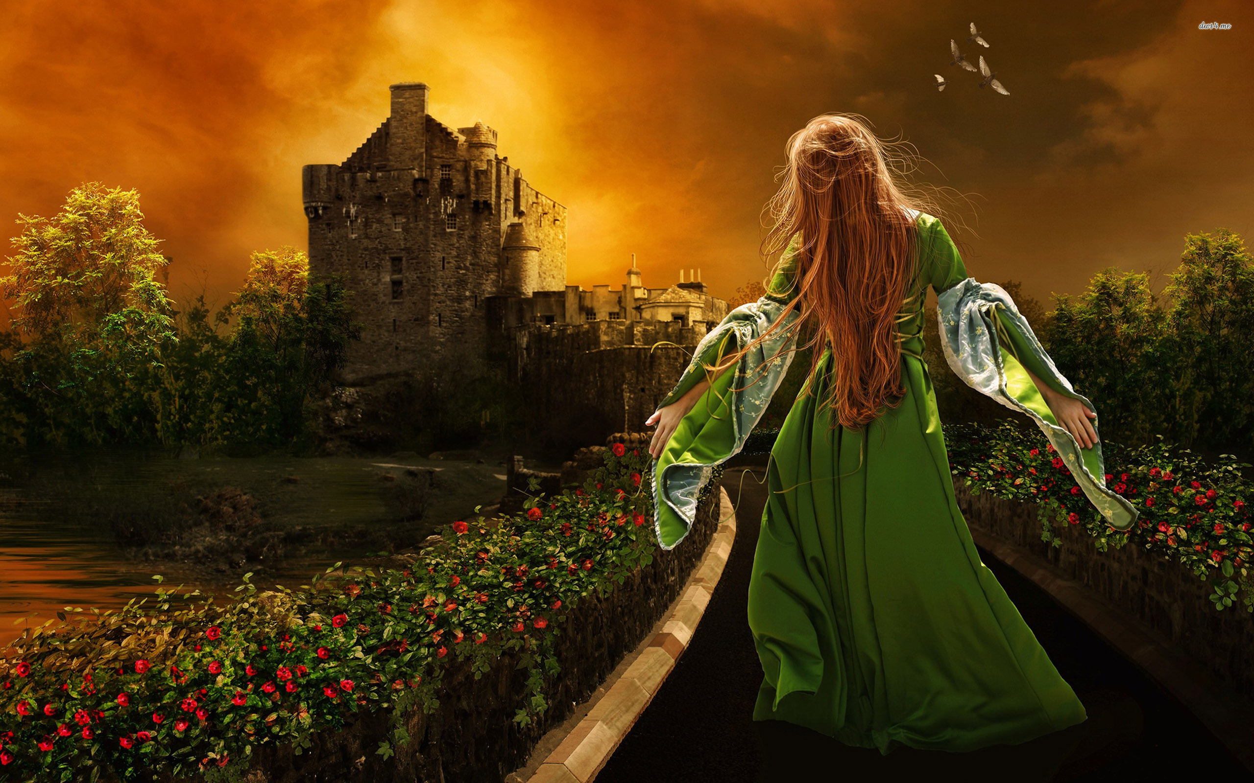 Wallpaper - HD Wallpaper 