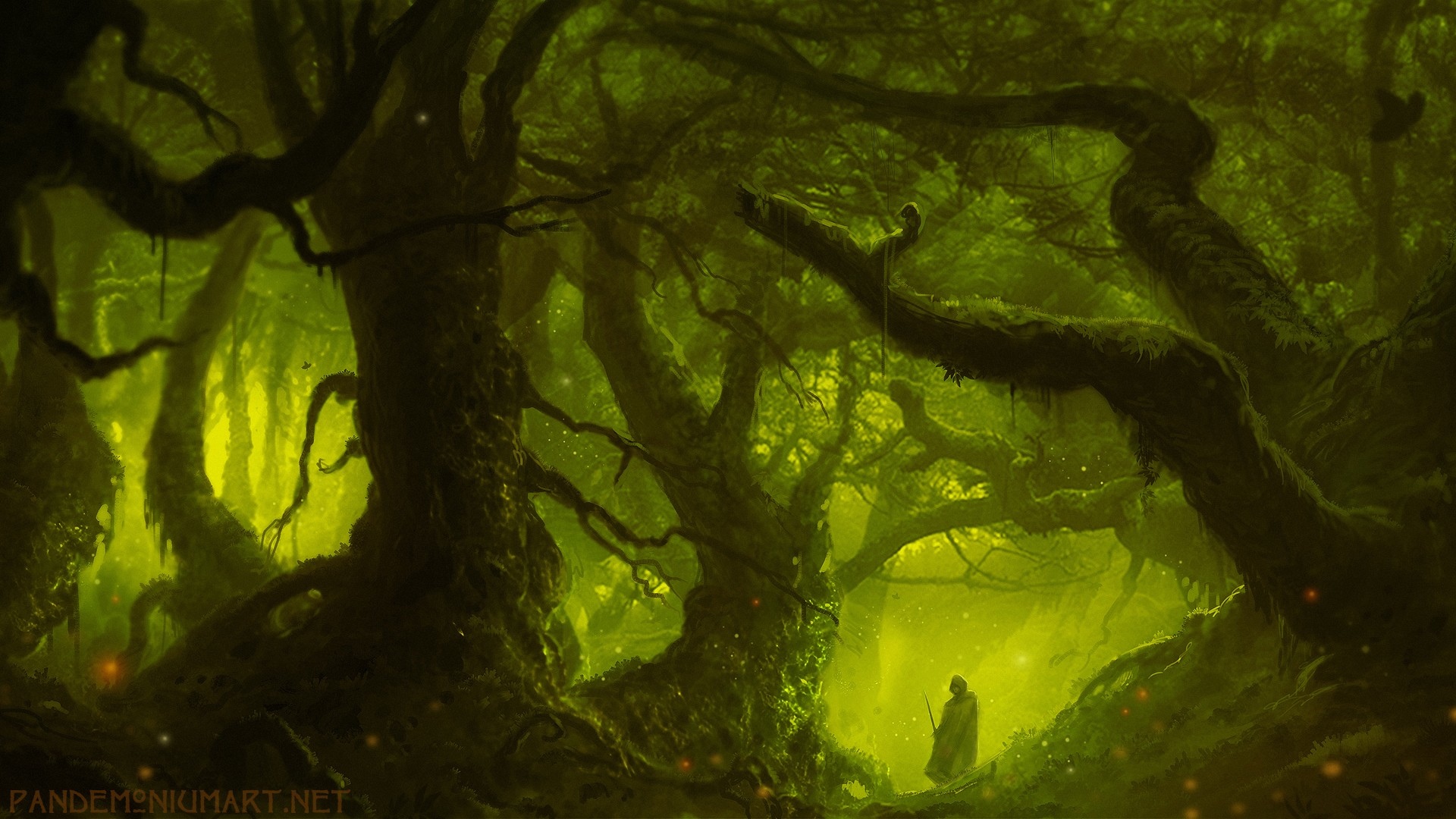Dark Fantasy Forest - HD Wallpaper 
