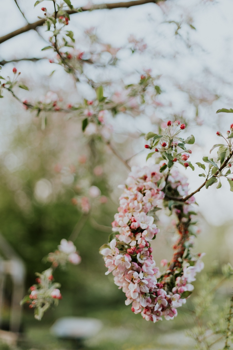 Wallpaper Apple, Flowers, Wreath, Tree, Branches - Branch - HD Wallpaper 
