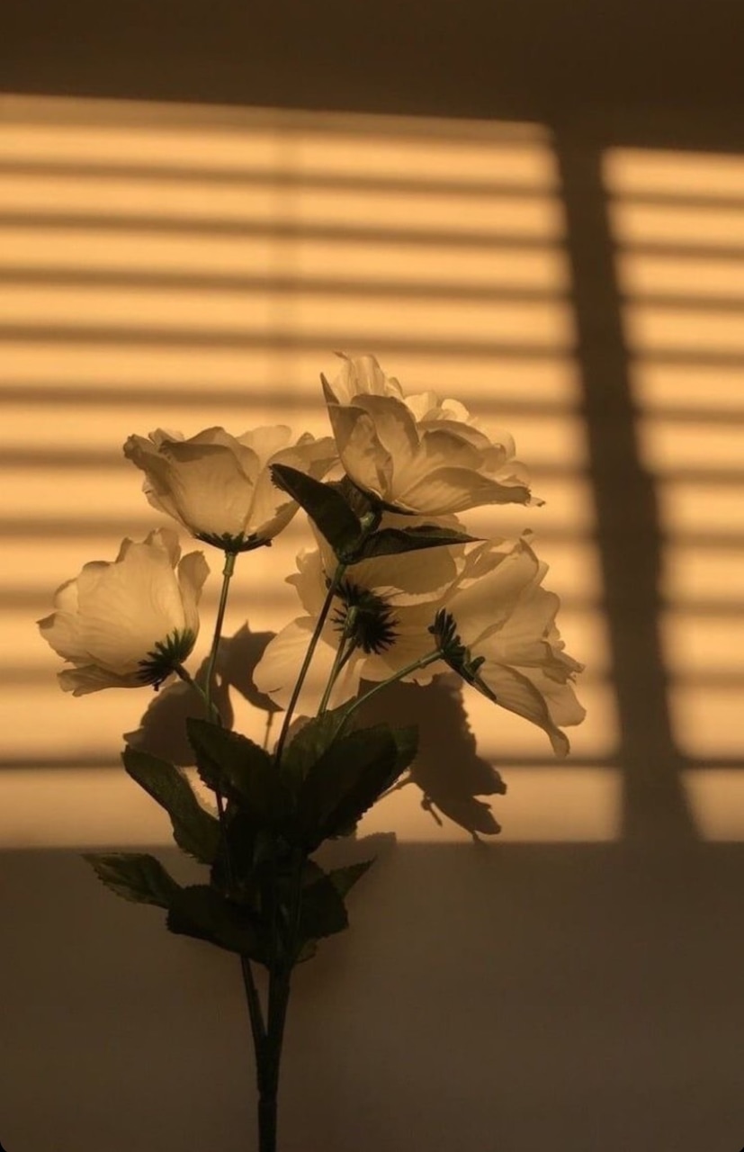 Flowers, Wallpaper, And Aesthetic Image - Light Brown ...