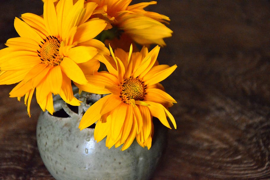 Decoration, Vase, Flower Vase, Flowers, Coneflower, - Vase With Flower Pixabay - HD Wallpaper 