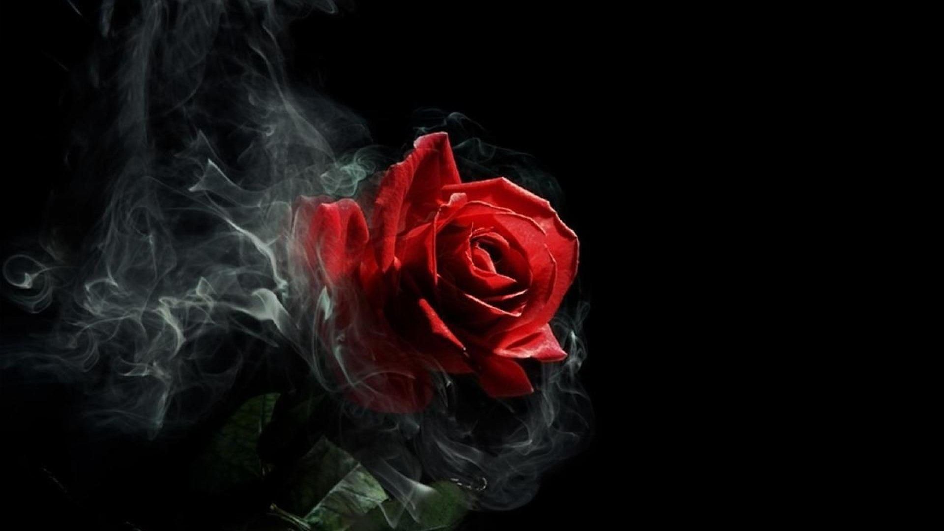 Rose Gothic - HD Wallpaper 