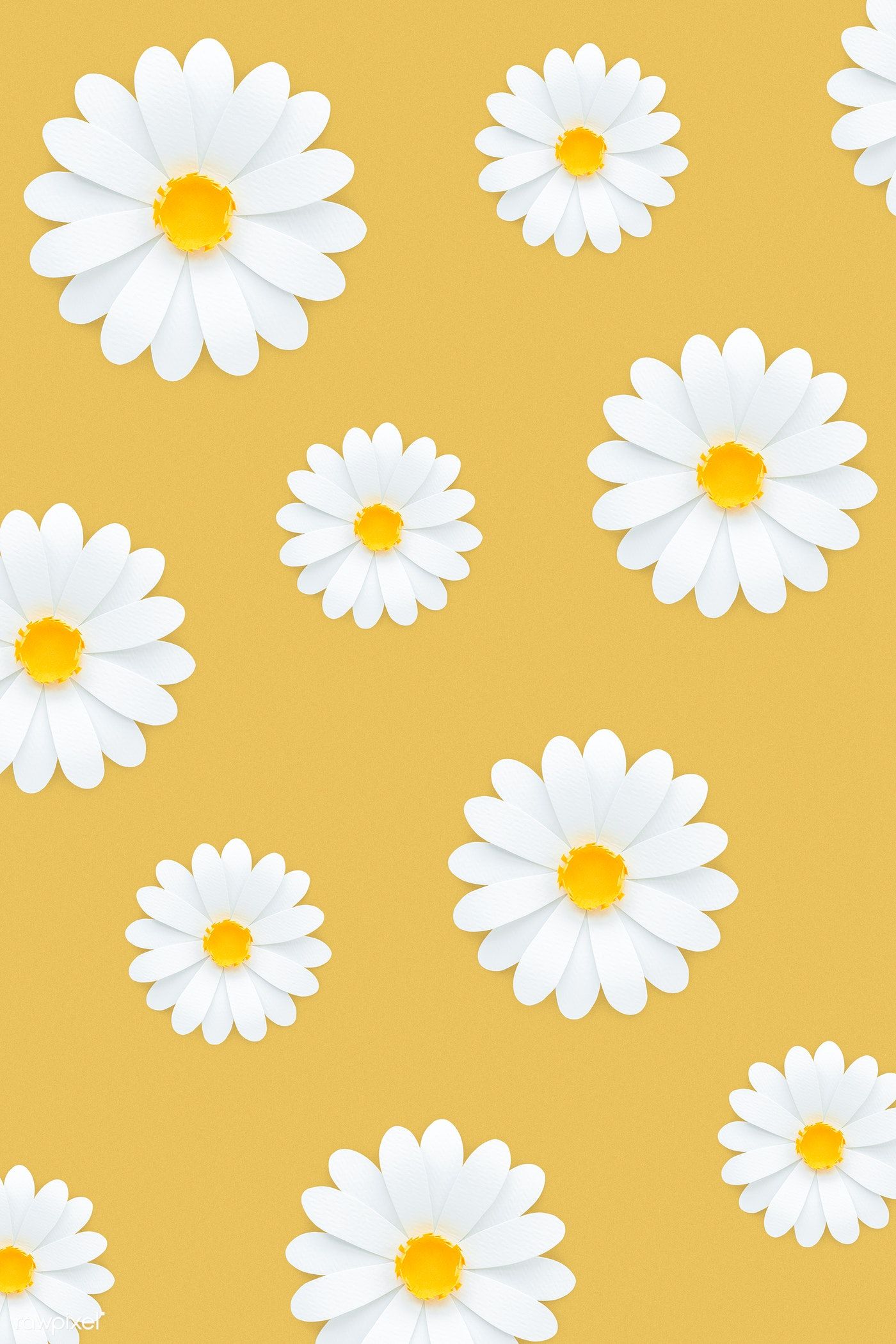 Daisy Background - HD Wallpaper 