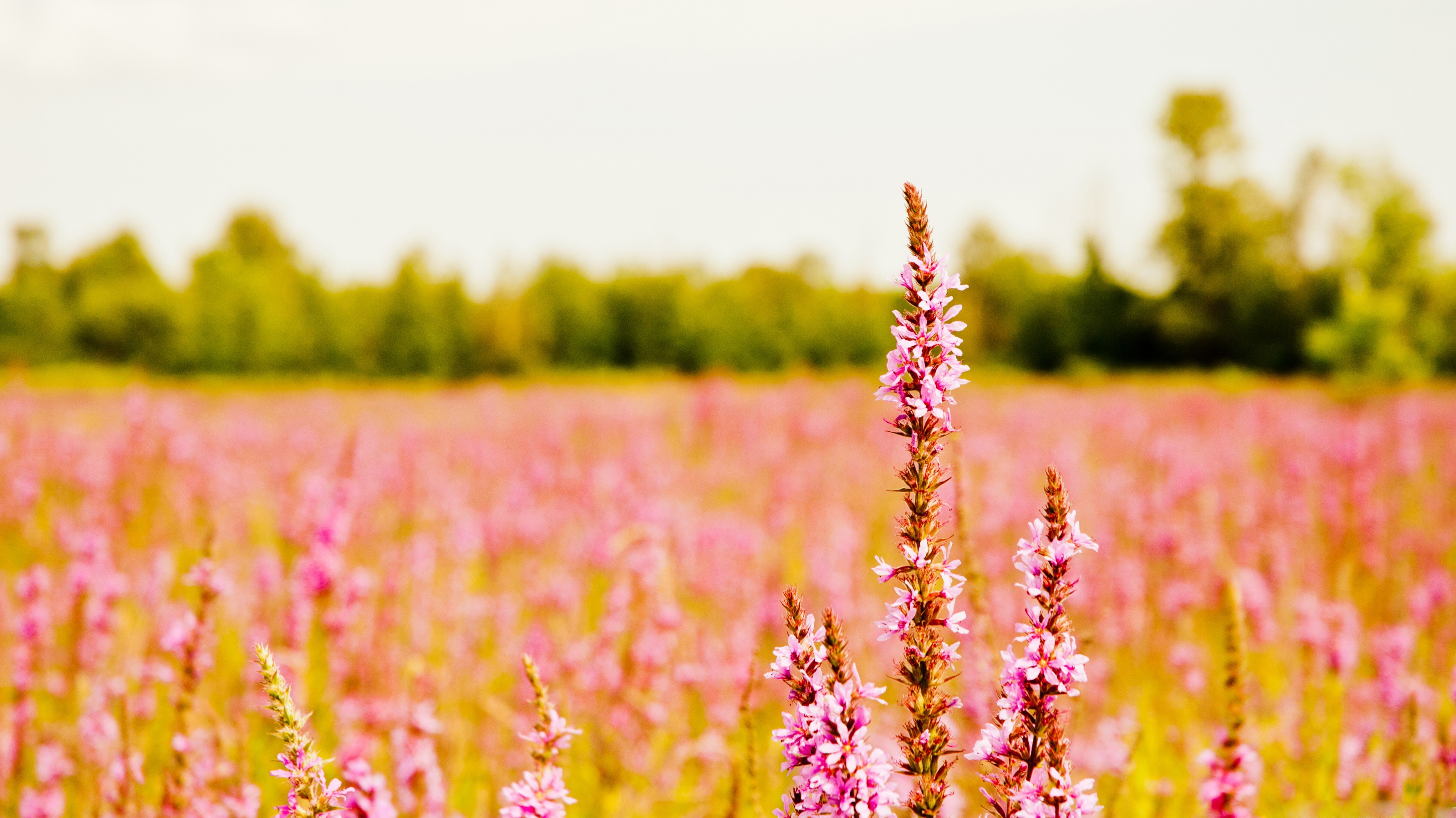 Backgrounds For Linkedin - HD Wallpaper 