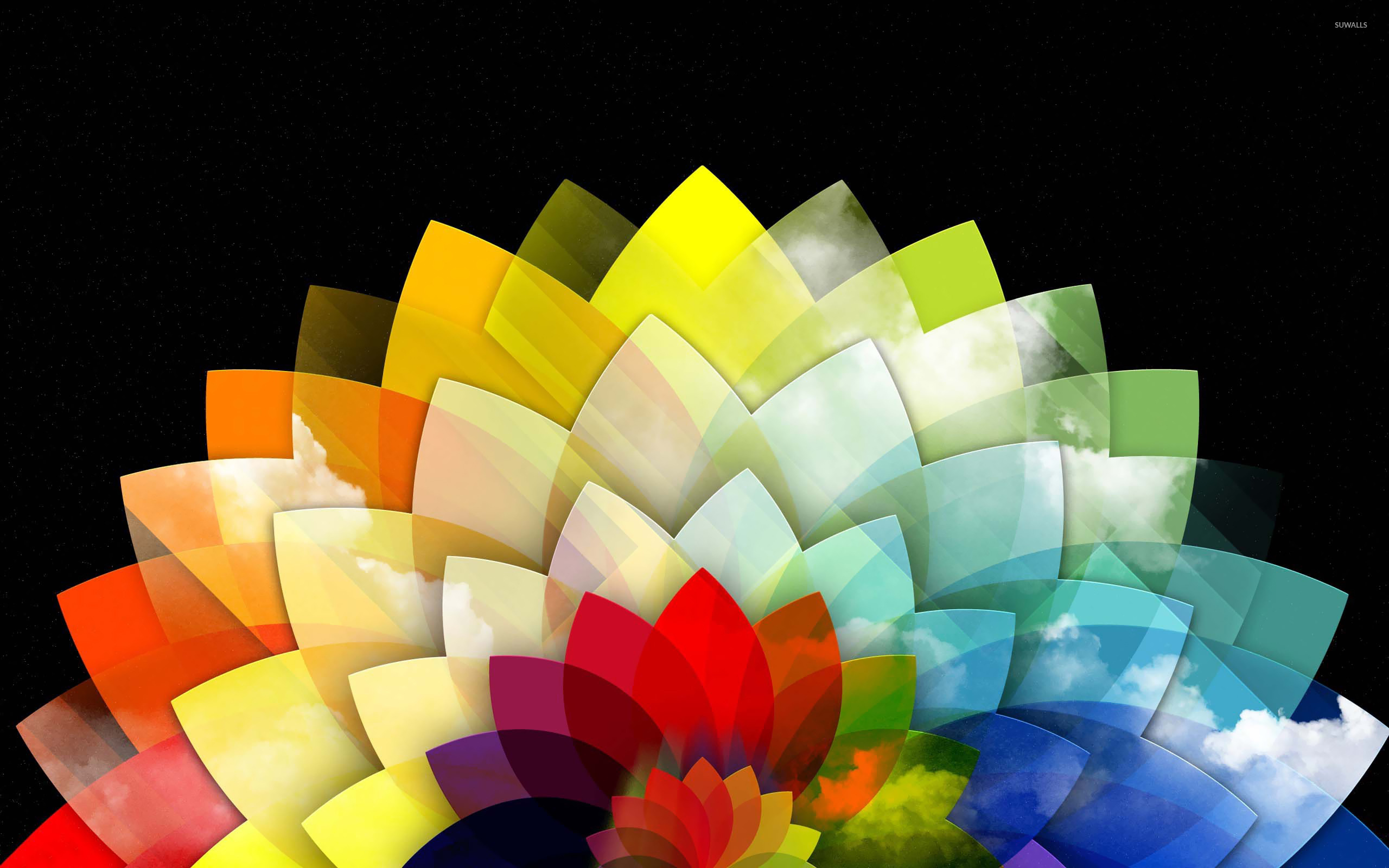Background Colorful Petal Flower - HD Wallpaper 