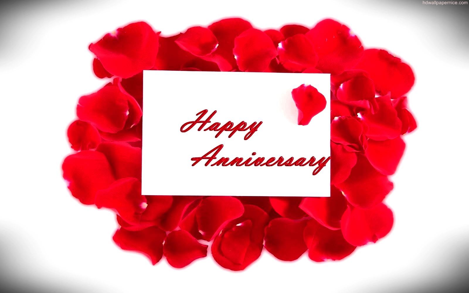 Happy Anniversary Rose Petals Hd Wallpaper - Happy Anniversary Hd Images Download - 1600x1000 Wallpaper Happy Anniversary Rose Petals Hd Wallpaper - Happy Anniversary Hd Images Download - 1600x1000 Wallpaper